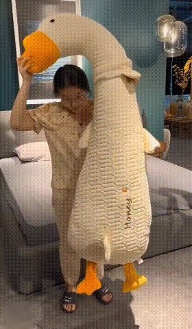 下载 (1) (2).gif
