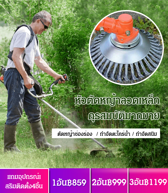 หัวตัดหญ้าลวดเหล็ก