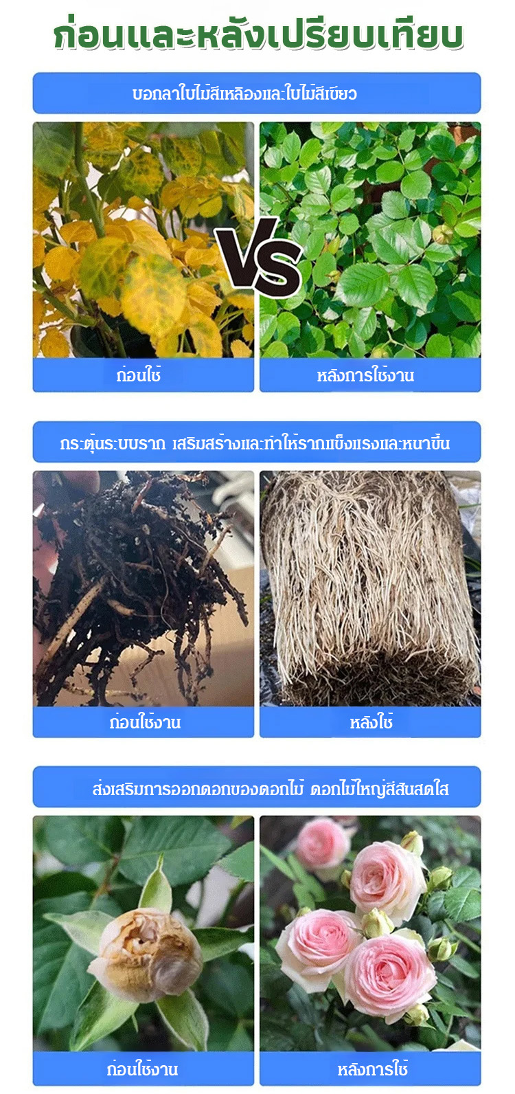 翻译_11.jpg