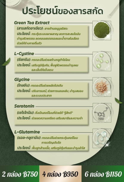 【0 น้ำตาลคุณภาพสูง】ผงมัทฉะบรรจุกล่อง