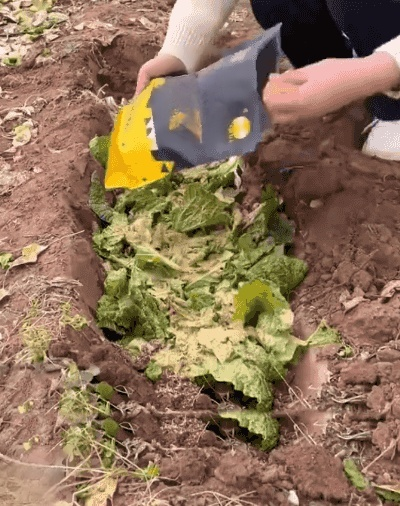 翻译件-HFH-【农神附体】EM厨余发酵菌-1227033_12.gif