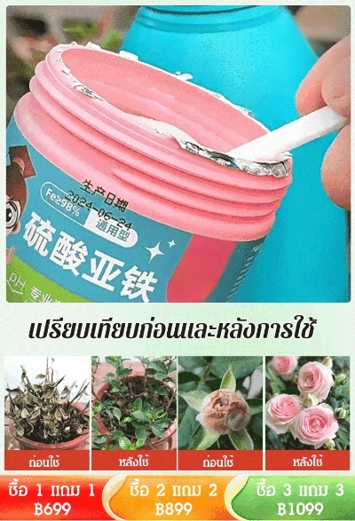 【ดอกไม้บานเต็มกระถาง】ปุ๋ยเหล็กซัลเฟตบำรุงดินสูตรใหม่