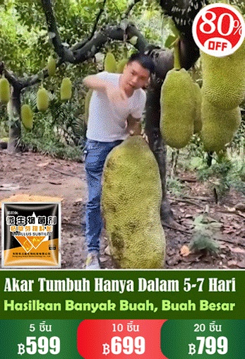 【คืนชีพ】จุลินทรีย์ชีวภาพ