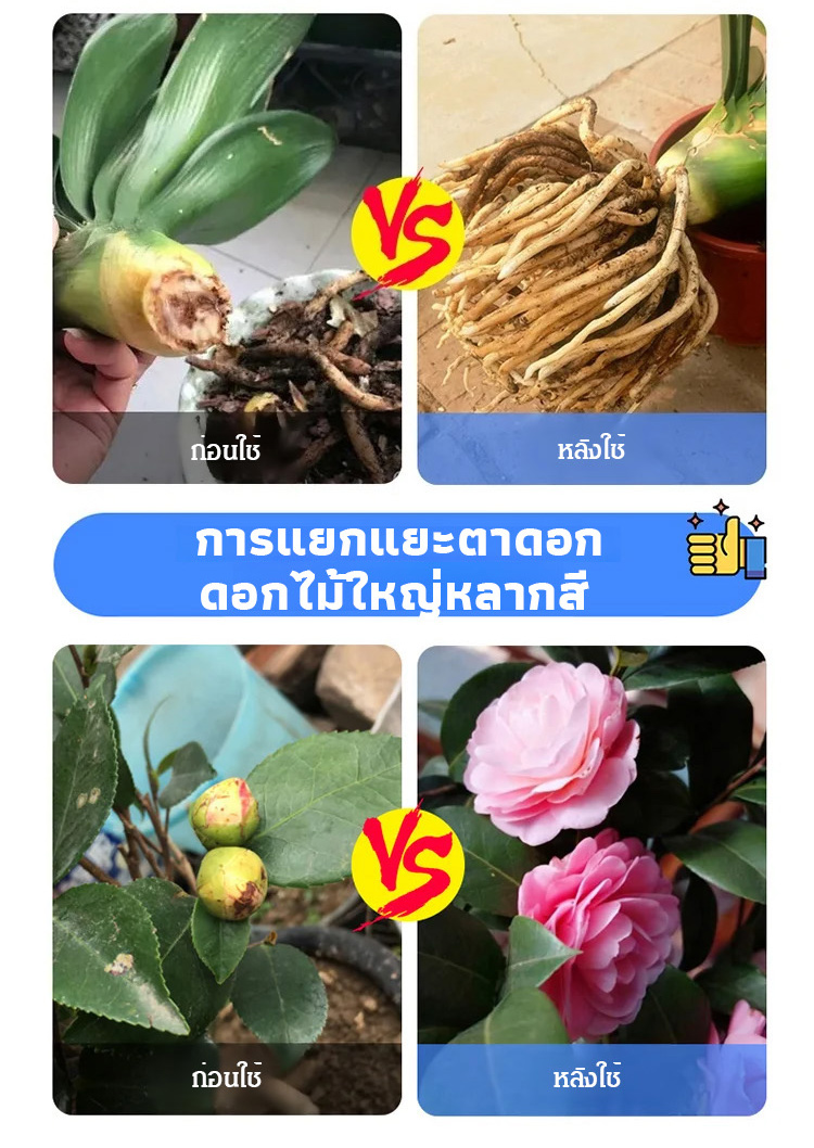 翻译_18.jpg