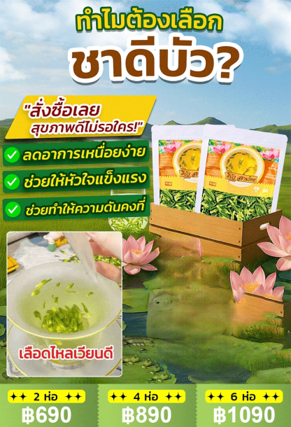 [ลดความดันโลหิต น้ำตาลและไขมันในเลือด] ชาดีบัวคุณภาพพรีเมียม