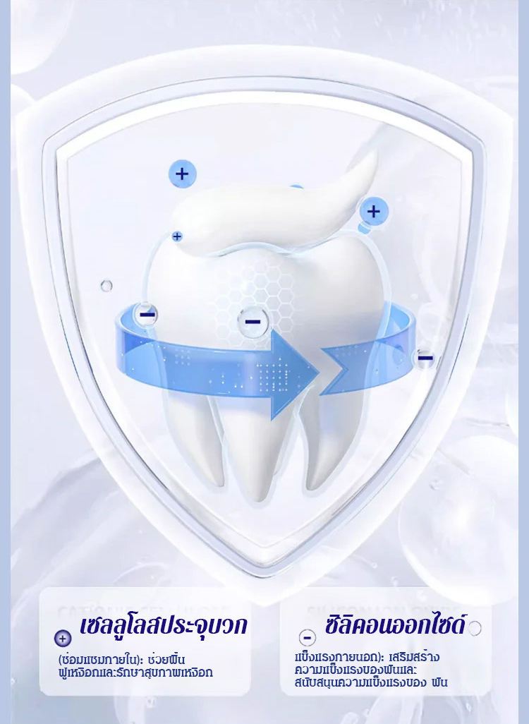 [ขจัดกลิ่นปากและปกป้องเหงือก] ยาสีฟันเบกกิ้งโซดาเอนไซม์ฟอกฟันขาว