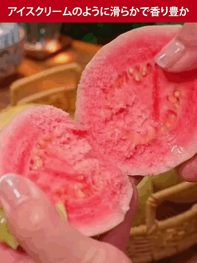 【柔らかくて甘い】赤い心グァバの種