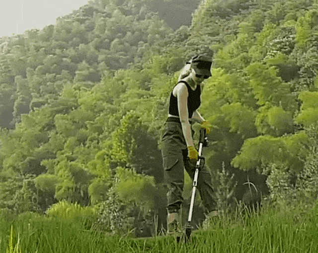 20240827_094758_176.gif