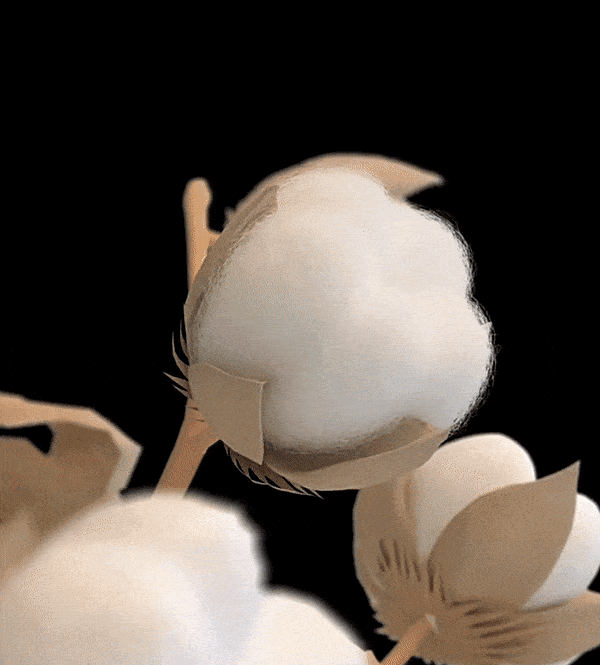 翻译件-HFH-秋款新款运动服套装--1191388-系统_12.gif