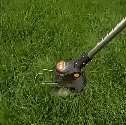 20240827_094758_167.gif