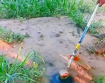 20230609_135757_246.gif
