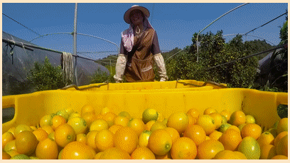 20240813_092221_074.gif