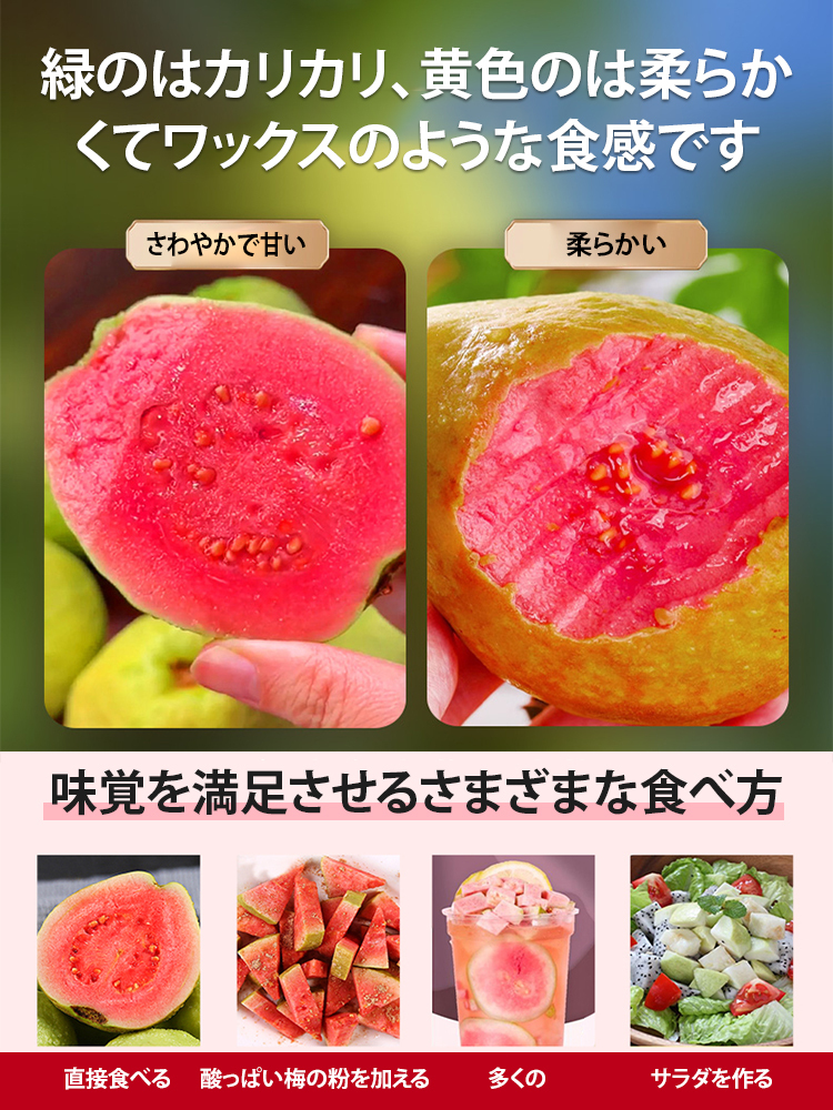 【柔らかくて甘い】赤い心グァバの種