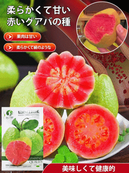 【柔らかくて甘い】赤い心グァバの種