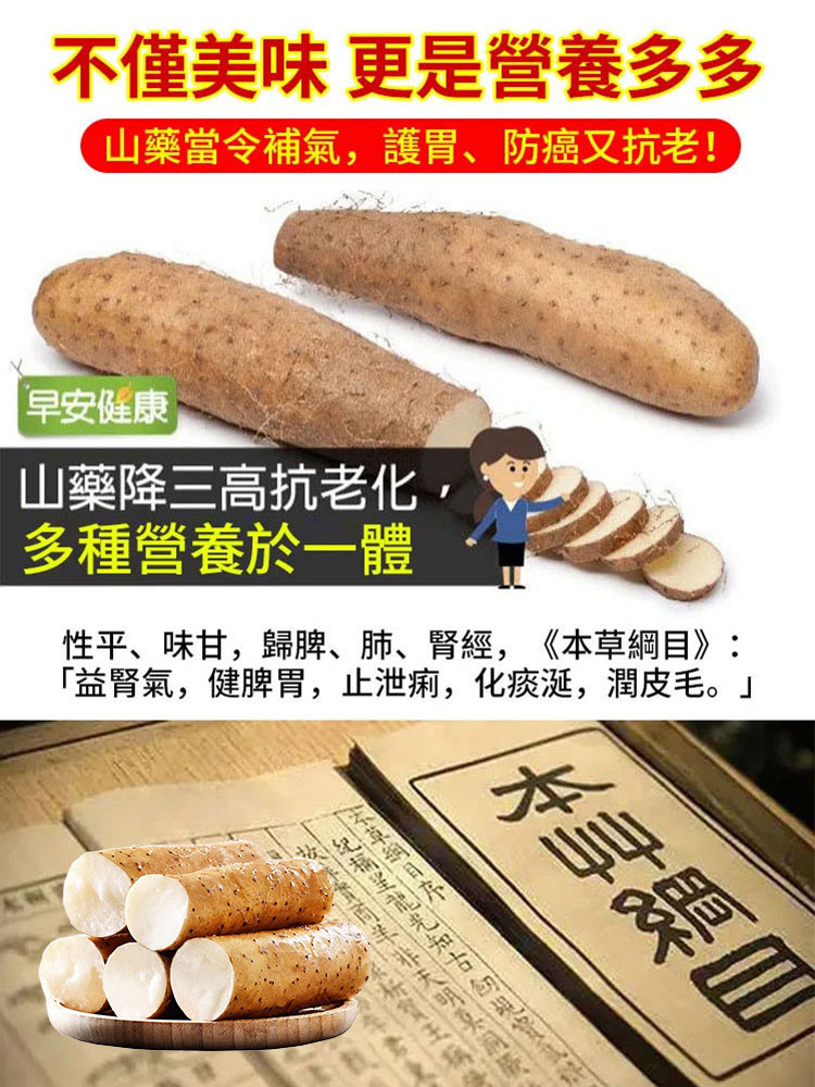 鐵棍山藥小粉皮