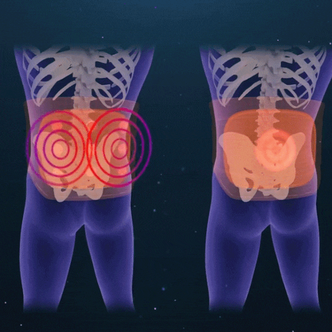 【空調房必備】天草除濕護腰