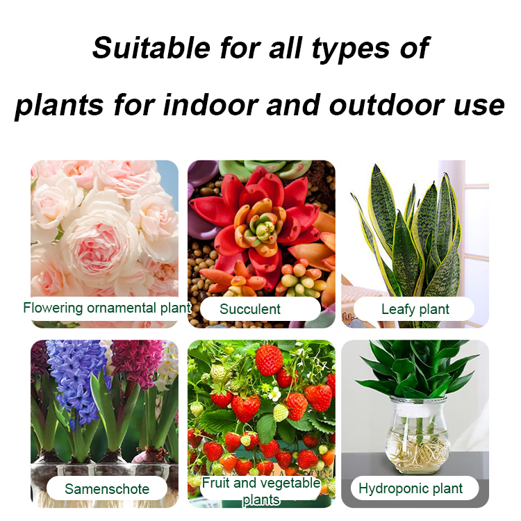 Universal plant and flower rejuvenation liquid