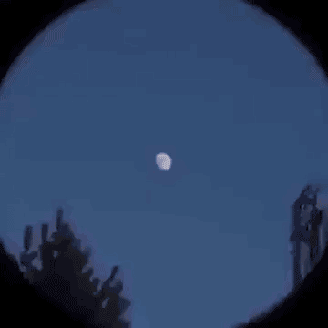 1615358768659.gif