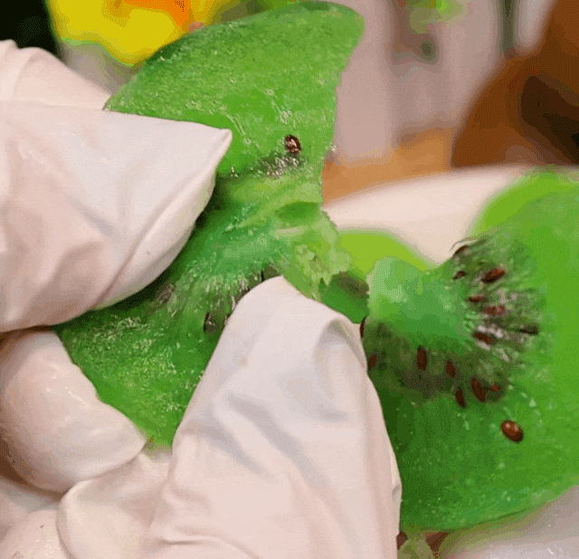 b60c23489057f8367e1abbd255251242.gif