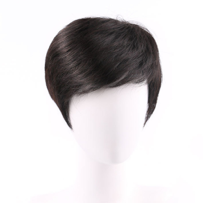 Business natural and realistic full wig for medium-elderly men