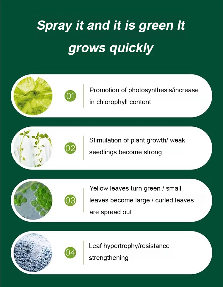 翻译件-JS-通用型植物花卉复活液-1153785_16.jpg