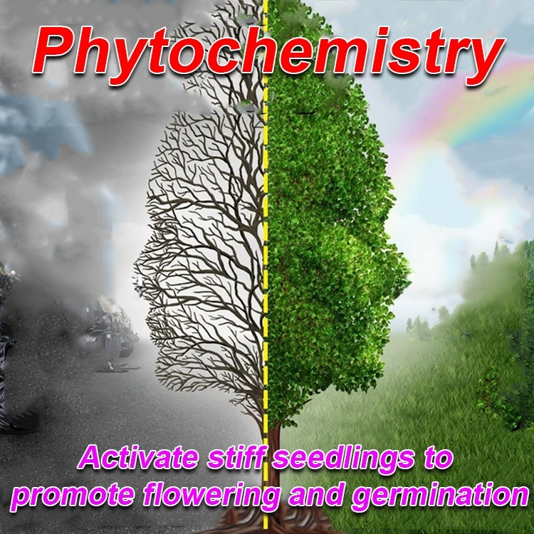 Universal plant and flower rejuvenation liquid