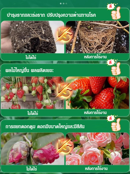 แท่งสารอาหารเสริมพืชสําหรับผักและผลไม้