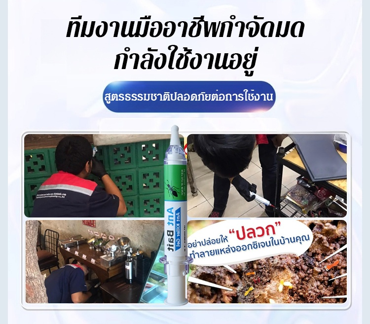 翻译件-泰国爆款杀蚁胶饵-1163421-系统_02.jpg