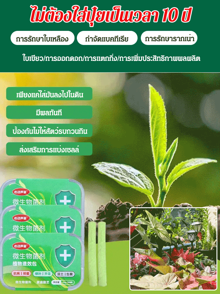 แท่งสารอาหารเสริมพืชสําหรับผักและผลไม้