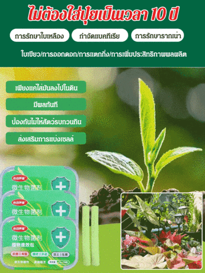 แท่งสารอาหารเสริมพืชสําหรับผักและผลไม้