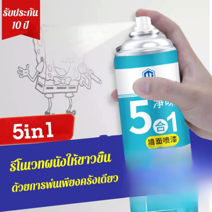 สีซ่อมแซมผนังไร้กลิ่นแบบ 5-in-1
