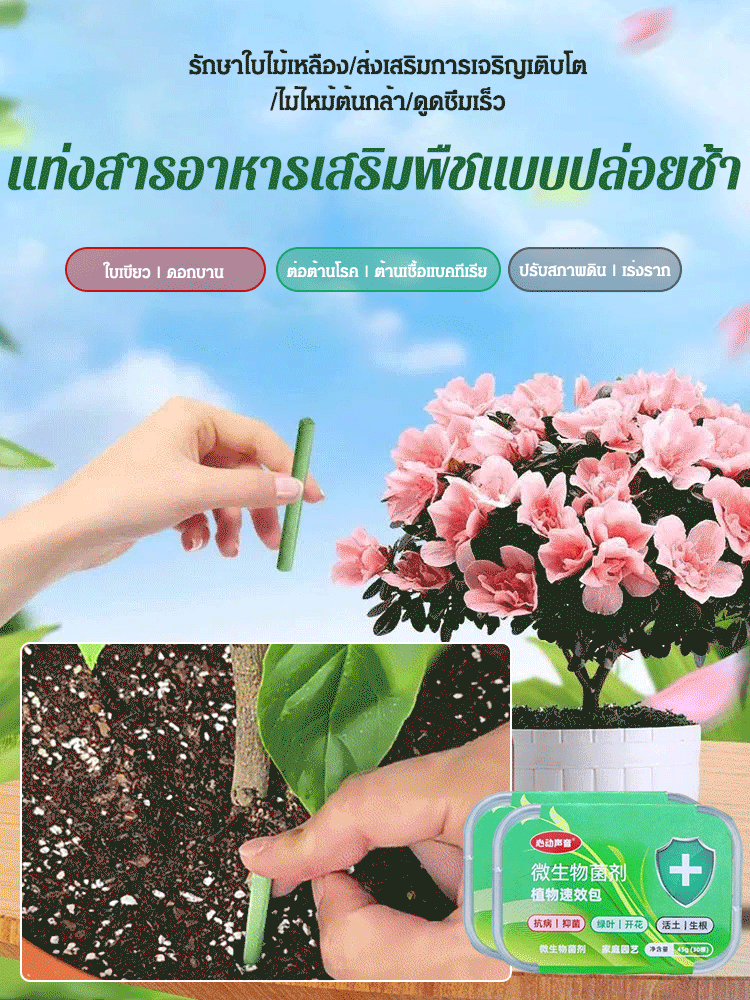 แท่งสารอาหารเสริมพืชสําหรับผักและผลไม้