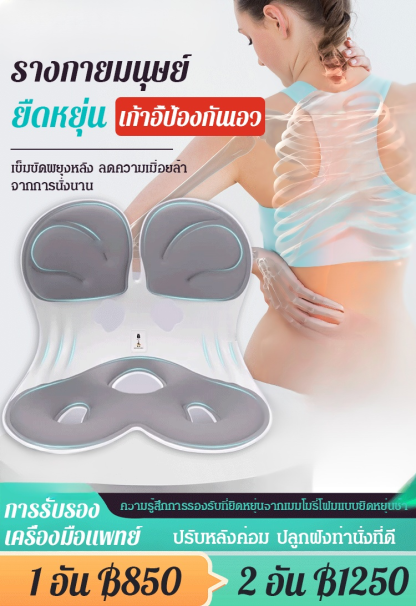 เบาะรองนั่งปรับท่านั่งจากญี่ปุ่น