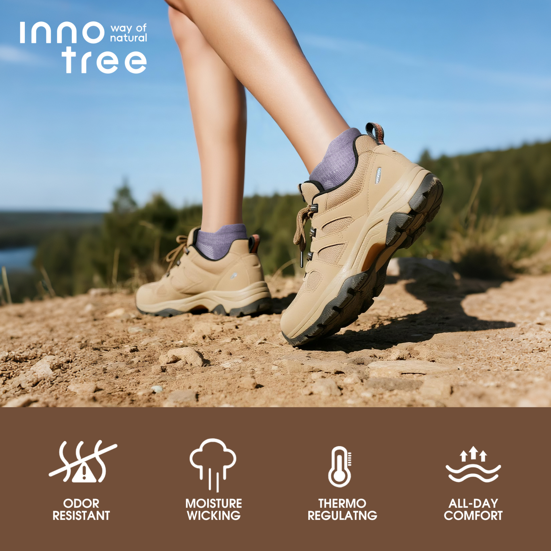 5 Pack Women's Merino Wool Ankle Hiking Running Socks Target Cushioned SS15F