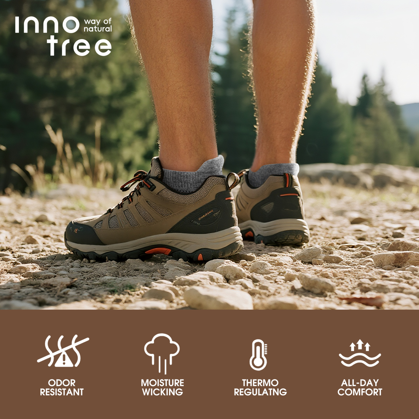 5 Pack Men's Merino Wool Ankle No Show Hiking Running Socks Target Cushioned SS15M