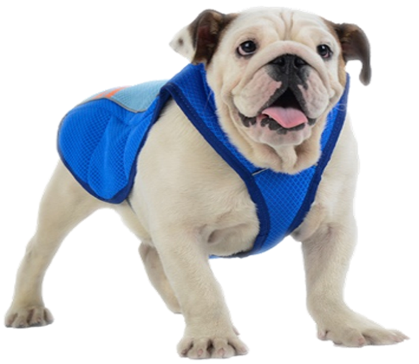 Lovabledog 兩用背心
