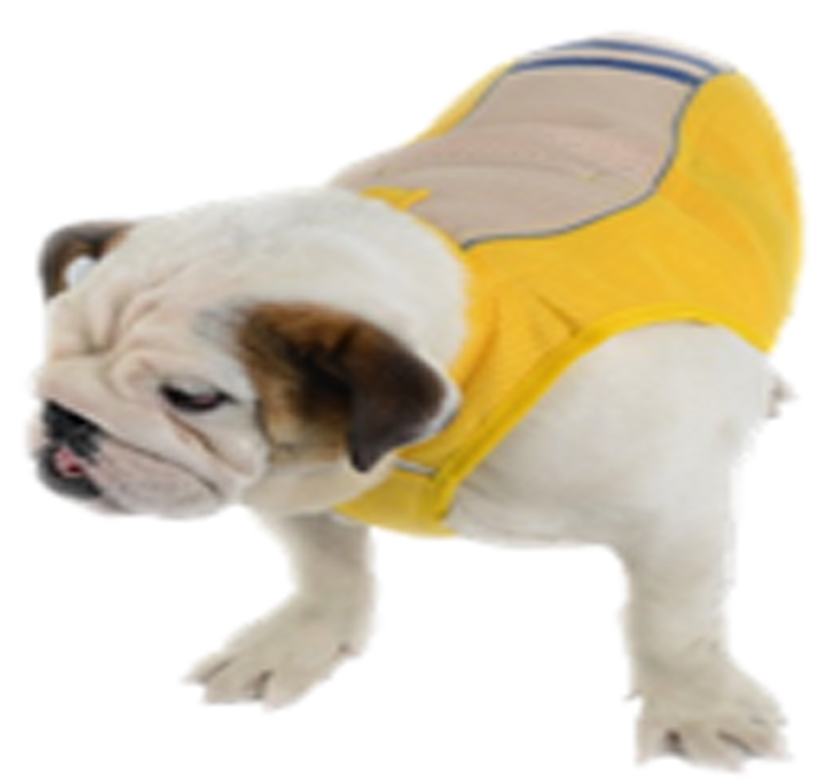 Lovabledog 兩用背心