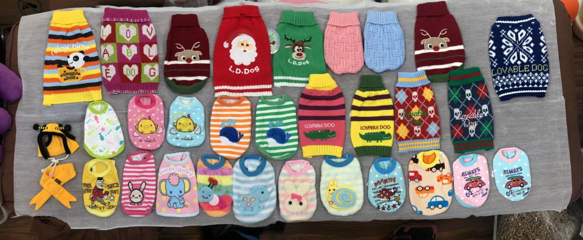 幼貓盲盒福袋8件組合