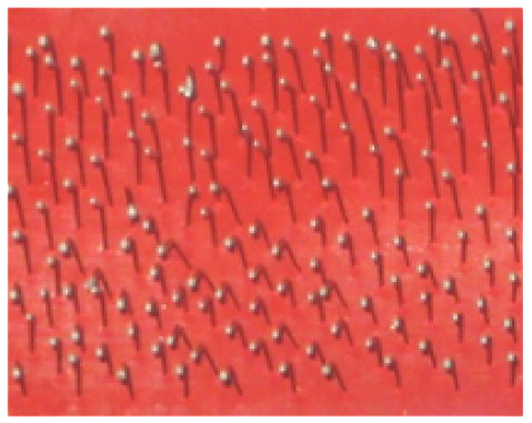 #9502~針梳(白膠珠頭)配小梳