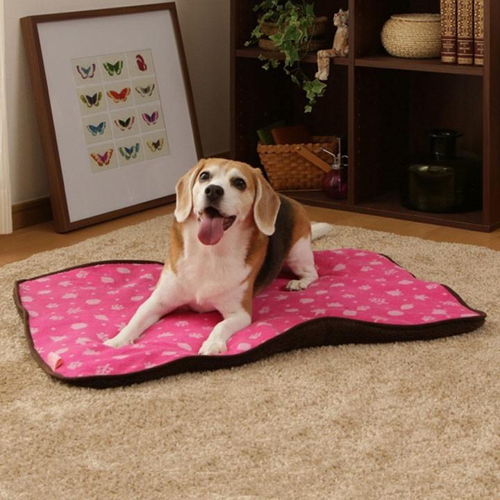 日本IRISPMH-800腳印絨墊