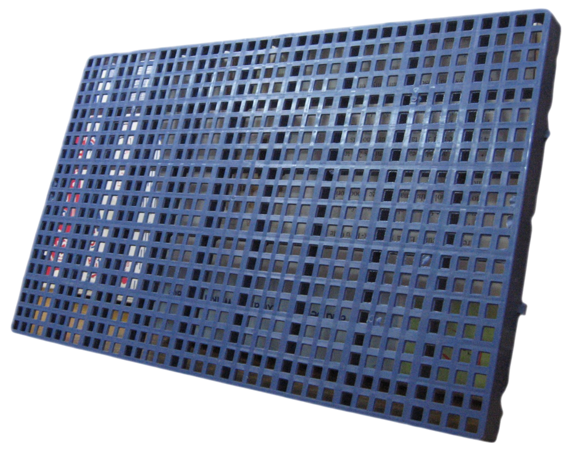 特大豬仔板 60*100