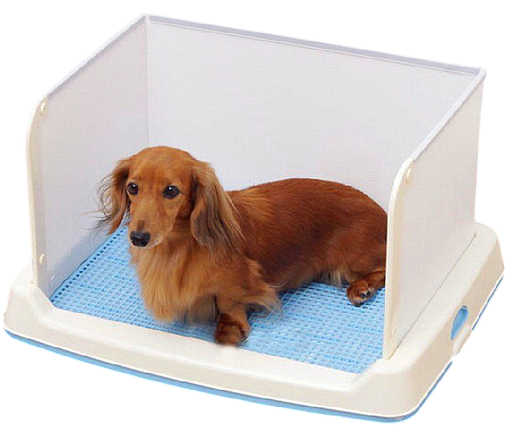 日本 IRIS SKT-430 高身有隔狗廁所