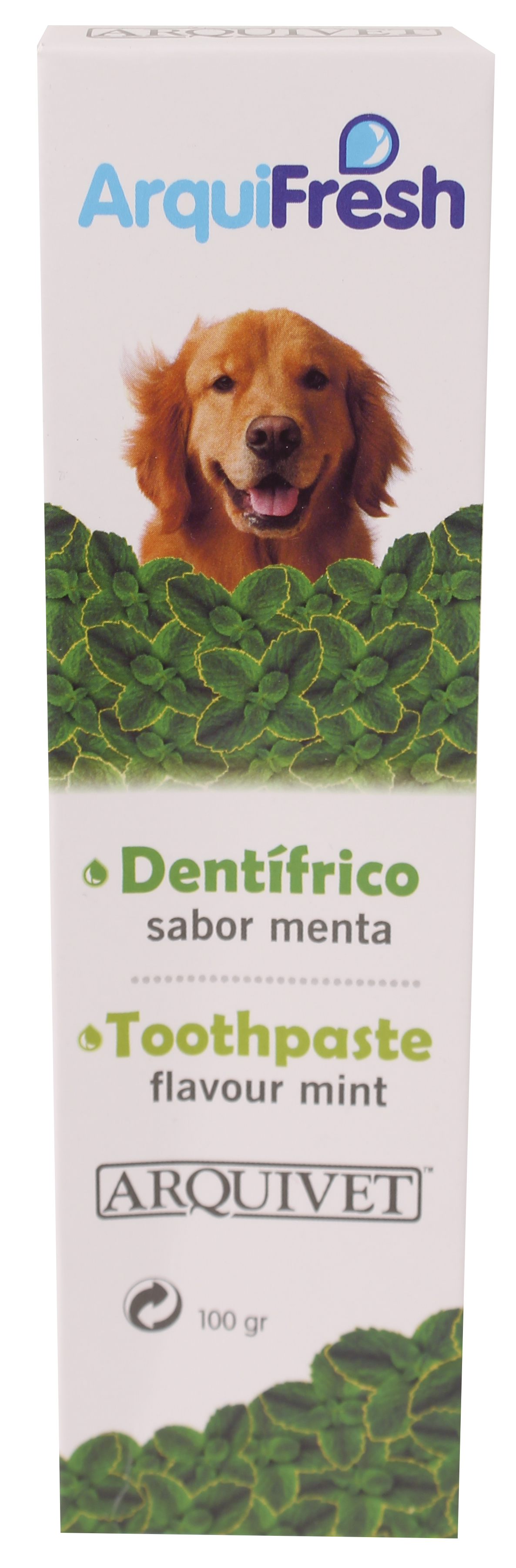 ArquiFresh潔齒牙膏