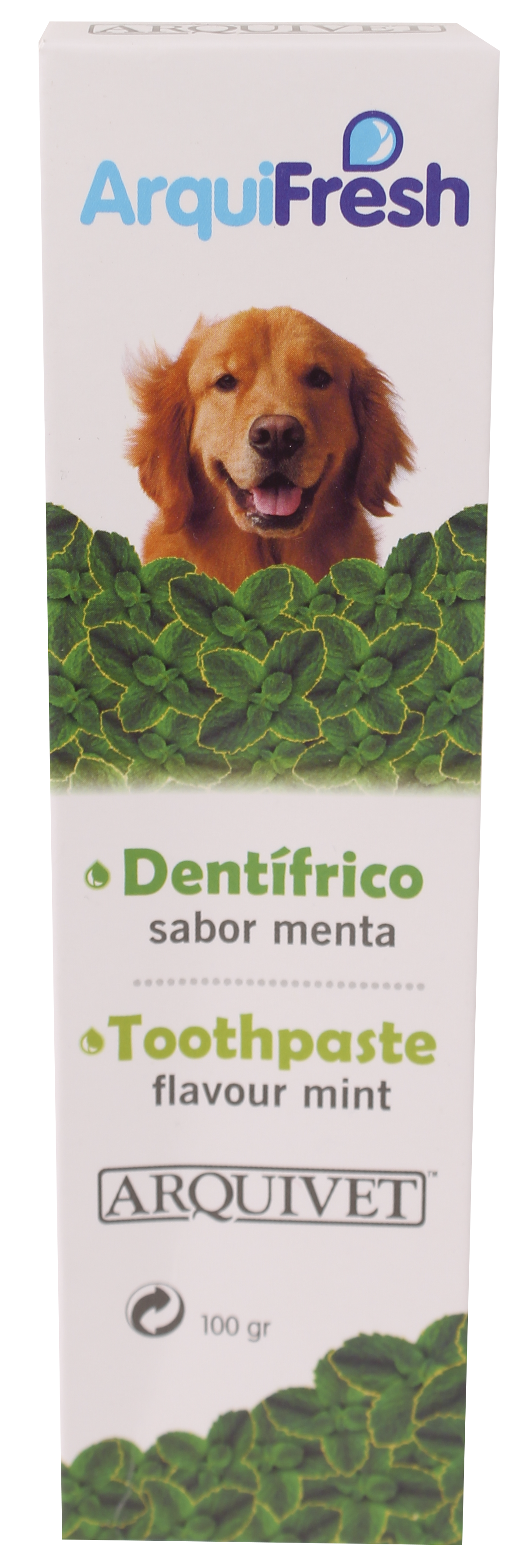 ArquiFresh潔齒牙膏