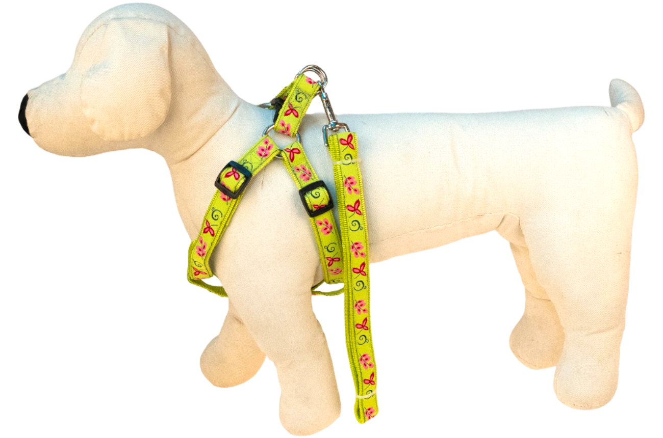 寵之友 清秀尼龍花邊拉胸(A)帶