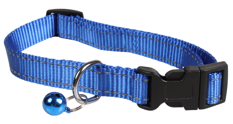 SW 素色銀絲拉頸帶套裝