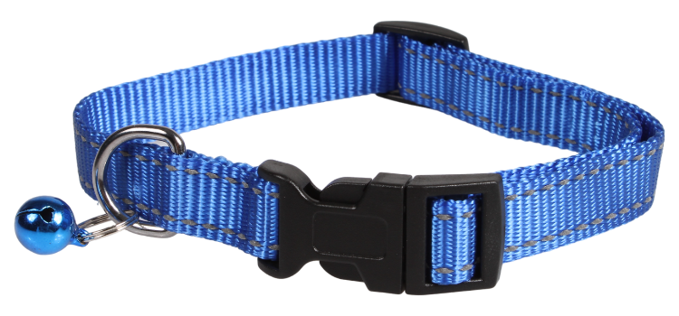 SW 素色銀絲拉頸帶套裝