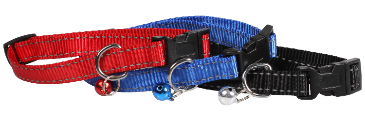 SW 素色銀絲拉頸帶套裝