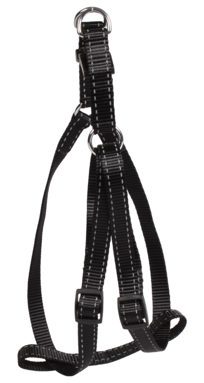 SW 素色銀絲拉頸帶套裝