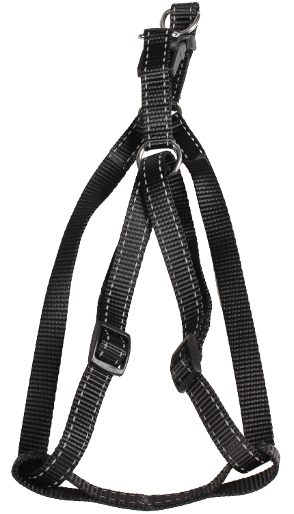 SW 素色銀絲拉頸帶套裝